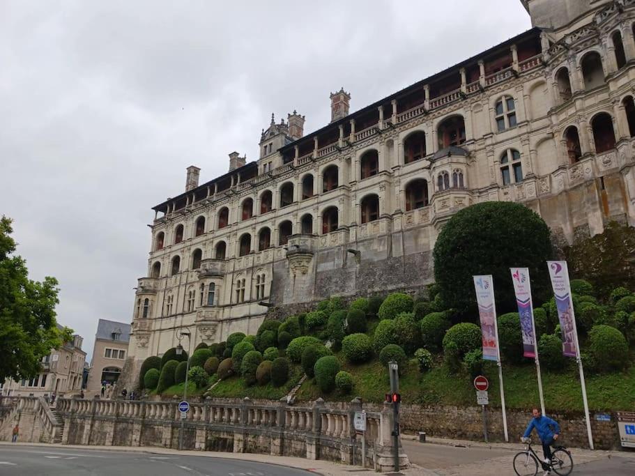 Апартаменты T2 Cosy A Deux Pas De La Loire Блуа Экстерьер фото